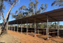Talwood Race Club’s makeover