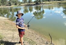 Botanic Beats back again