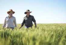 Basin Plan deemed not effective