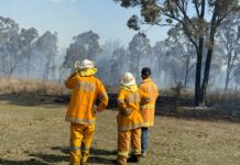 ‘Perfect’ bushfire conditions spark total fire ban