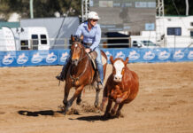 Warwick Campdraft kicks off without a hitch