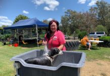 Happiness is Homegrown