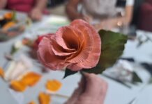 TADDS shines a light on mental health