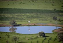 Property transactions tighten in rural property market