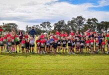 Records tumble at little athletics regional winter carnival