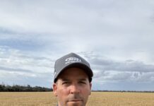 Dave Woods: Pioneering success in mental health in ag