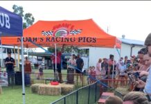 From the Mayor’s Desk . . .