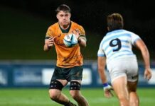 Macpheron making waves in the Rugby World