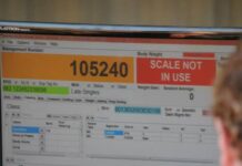 Sheep Genetics goes from strength to strength