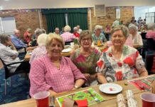 A season to celebrate