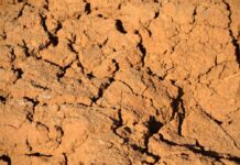 New drought plan bolsters regional sustainability