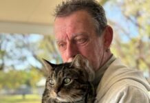 Stay alert, stay alive – Driver Reviver turns 35