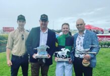 Skyforger forging ahead