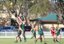 Hawks soar high in 2024