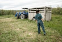 List of jobs in the Goondiwindi region