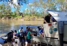 More fish in the river