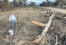 The need for more wind farm community consultation