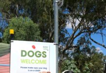 Big fines for off-leash dogs