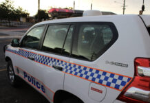 Solutions for the region on youth crime