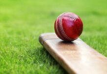 Border Tatawera secures a six-wicket victor in to head into the finals with momentum