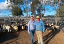 Goat producers in it for the long haul