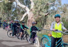 Investigations Underway to Strengthen Goondiwindi’s Levee Bank