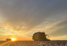 Growers join RB Sellars and Cotton Australia in celebrating partnership
