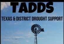 Terrific Texas breaking the cycle