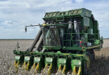 Cotton harvest has kicked off