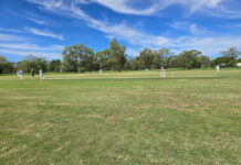 Yetman claim Weir Shield with 22 run win over Yagaburne