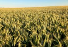 Ag database launched