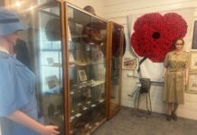 Living history: New war display honours local heroes