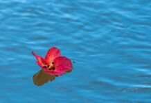 Negative space wows judge