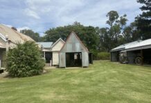 Customs House Museum celebrating 50 years