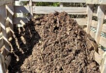All about compost