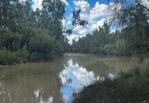 Caring for Country . . . Caring for community