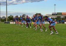 Boar bring up the half century to crack the TRL top 5