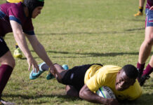 Emus run circles around the Bears