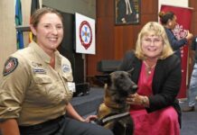 Renewed spotlight on volunteering