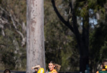 Tough week for the Hawks as Tigers roar