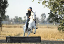 Goondiwindi Pony Club hosts action-packed camp