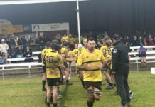 Emus ran wild in the mud