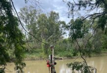 From the Mayors Desk