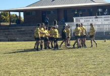 Emus storm into finals with dominant win over Uni