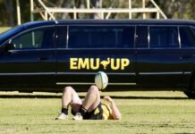 Emus clinch minor premiership with win over the Wheatmen