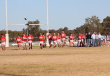 Frillnecks fall short in crucial clash with the Water Rats