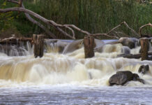 Gundy shutterbug’s ‘stunning’ snap