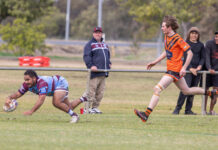 Boars suffer narrow defeat