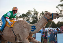 Race day a massive hit