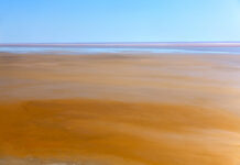 Lake pic claims honour